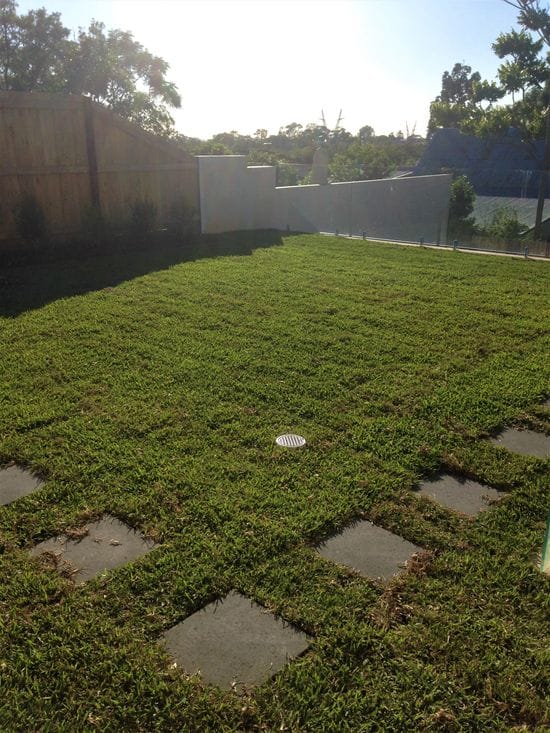 The perfect lawn 